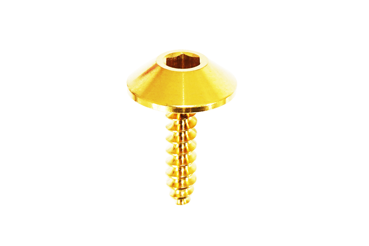 ZSPEC Fuel Door Dress Up Bolts® Hardware Kit for Lexus LC 500, Titanium