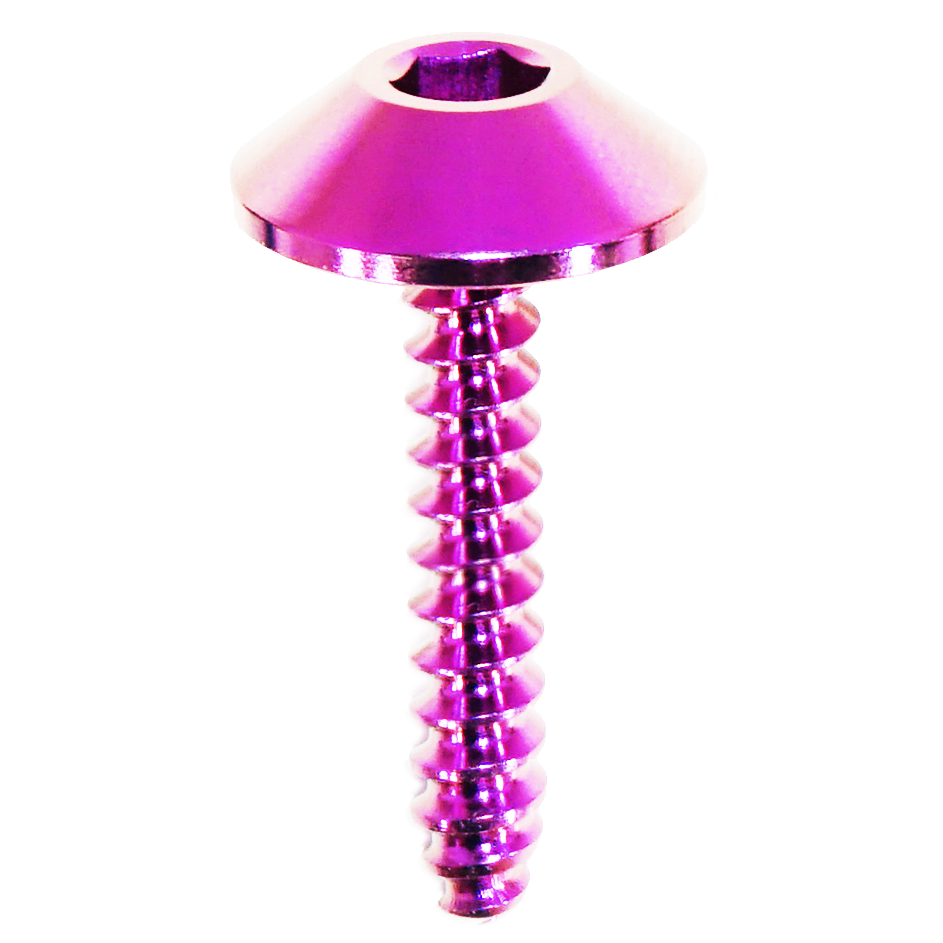 ZSPEC Angled Coarse M5x25mm Fastener, Titanium Grade-5, Per Each