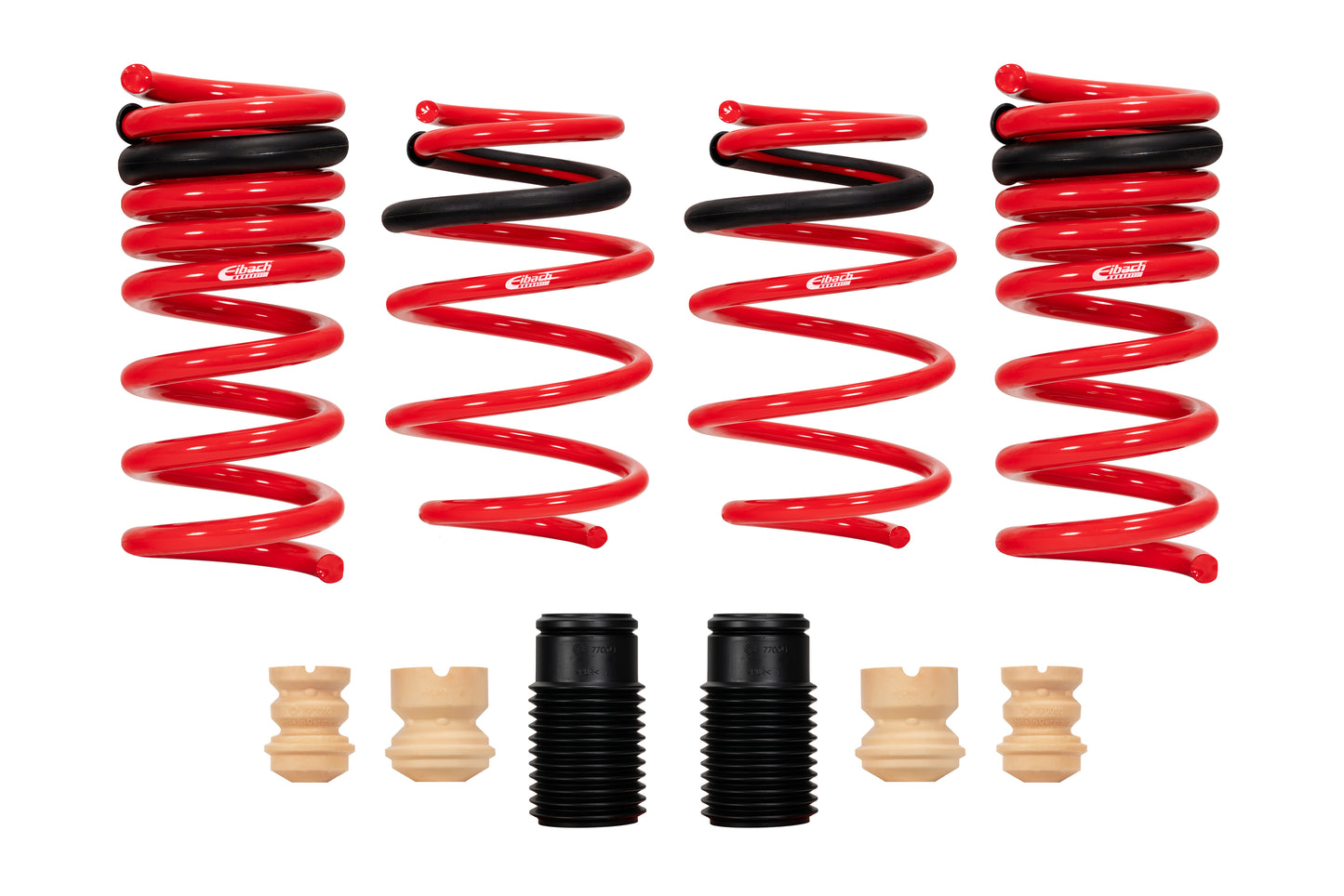 SPORTLINE Kit (Set Of 4 Springs)